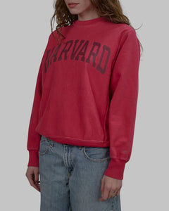 (S) 90s Harvard