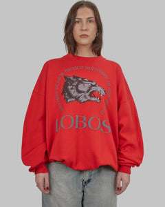 (XL) 90s New Mexico Lobos