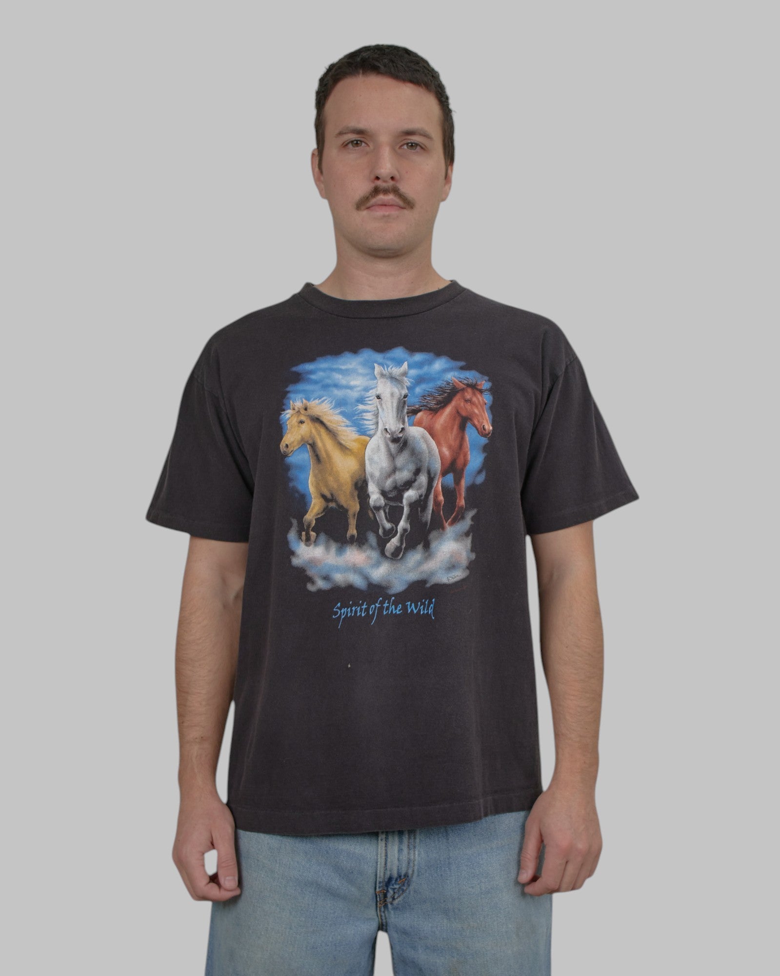 (M/L) 90s Spirit of the Wild Horses