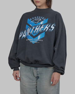 (L) 90s Carolina Panthers