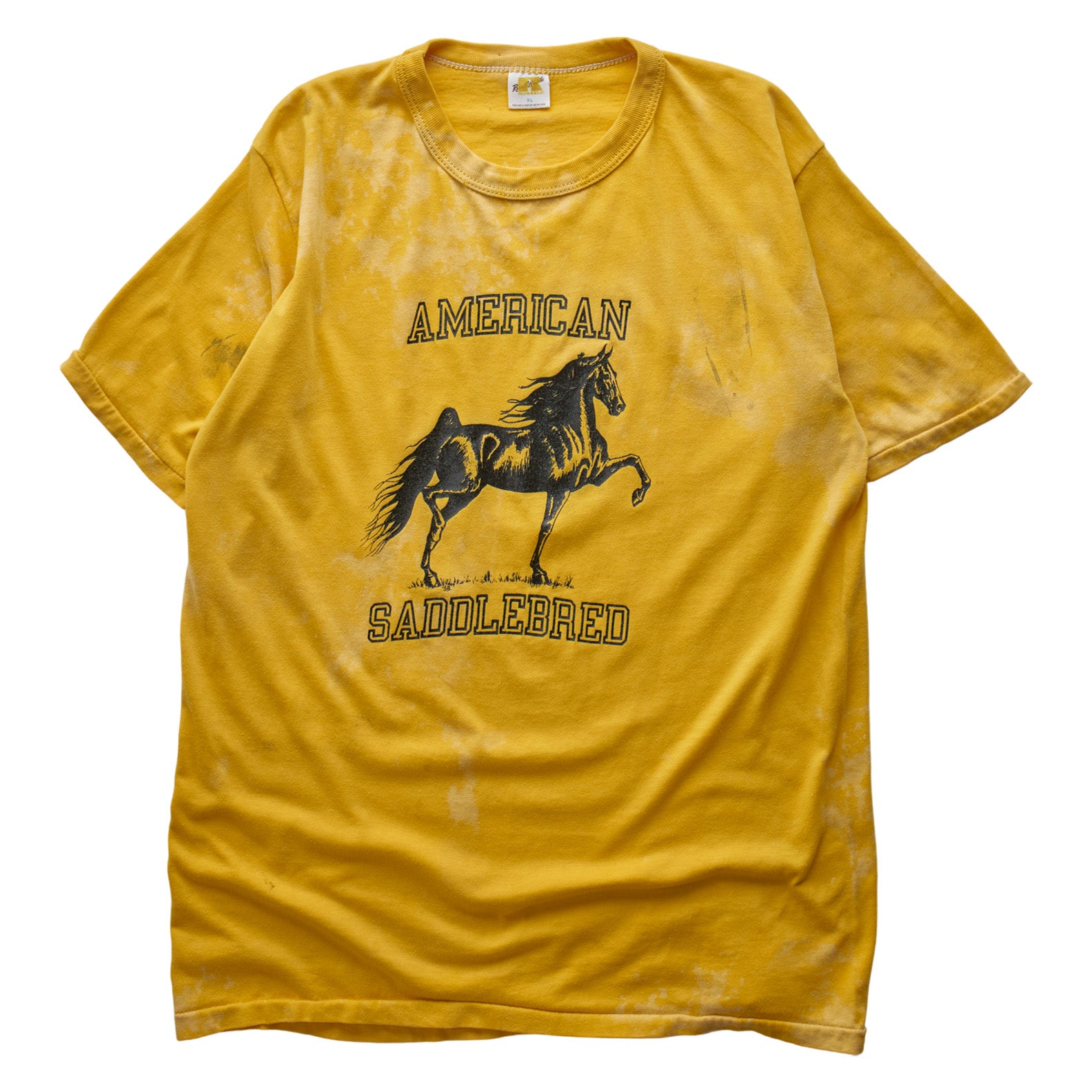 (S) 80s American Saddlebred